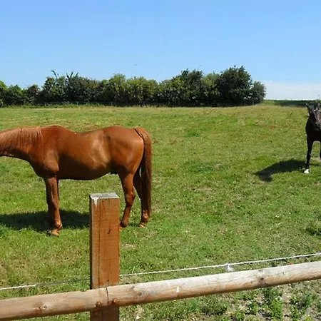 D' Hotes Et Roulottes Et Du Ternois 3* Saint-Pol-sur-Ternoise