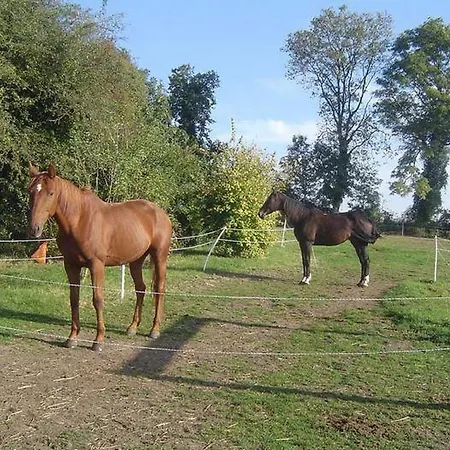 Gæstehus D' Hotes Et Roulottes Et Du Ternois